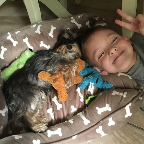 Meet your Posher, Kristina - Picture 8 of 13